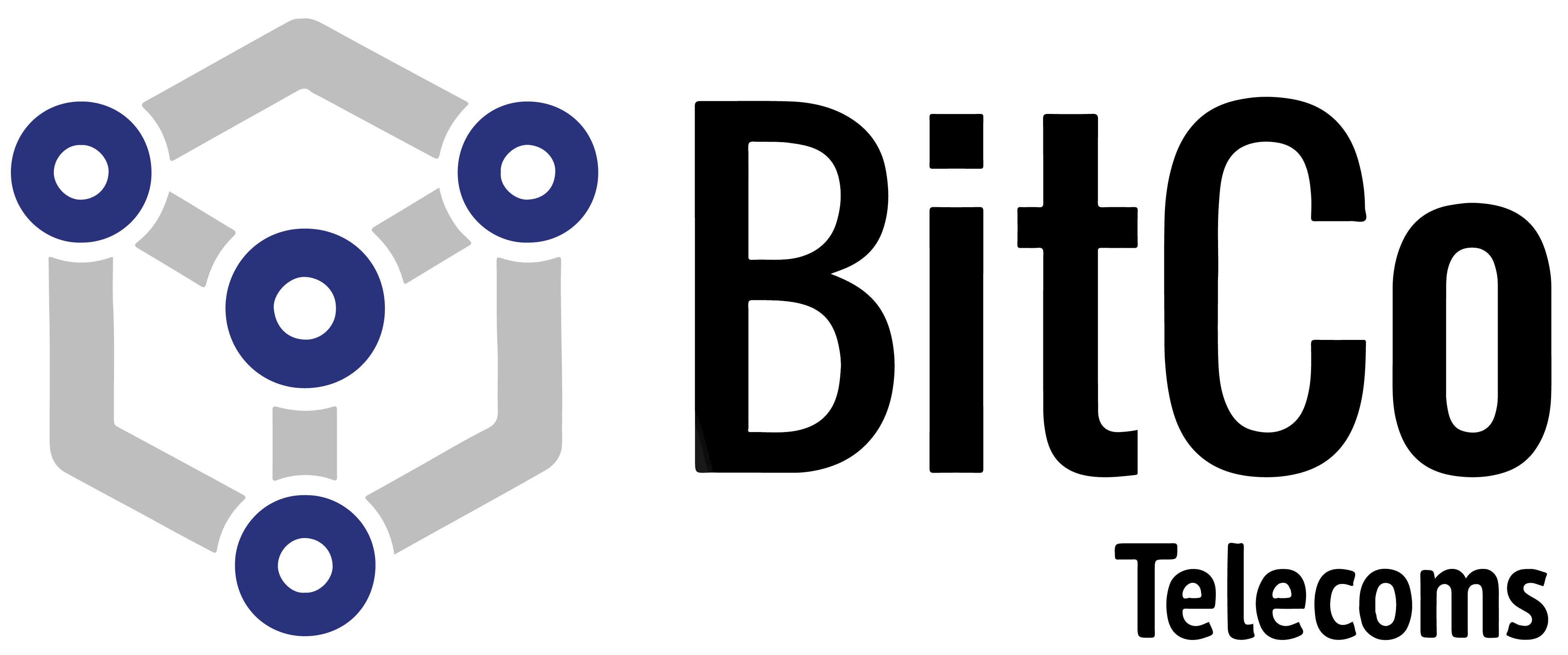 Partner Logo 2